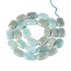 Natural Amazonite Beads Strands&nbsp;G-T139-73