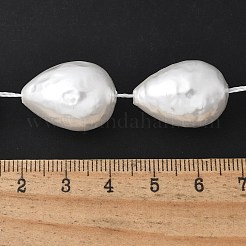 Electroplated Shell Pearl Beads Strands&nbsp;BSHE-F013-13-01