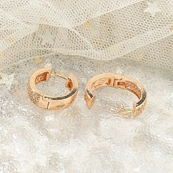 Rack Plating Brass Clear Cubic Zirconia Hoop Earrings&nbsp;EJEW-M090-01G-04