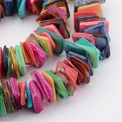 Natural Shell Bead Strands&nbsp;BSHE-P021-01