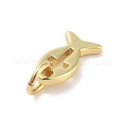 Rack Plating Brass Pendants&nbsp;KK-M293-03G