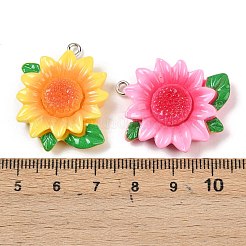 Resin Pendants&nbsp;RESI-D016-04A