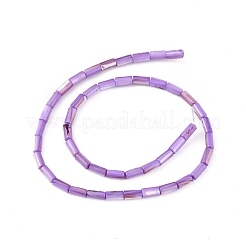 Natural Freshwater Shell Dyed Beads Strands&nbsp;SHEL-M018-11-08