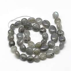 天然石ラブラドライトビーズ連売り  ナゲット  8~15x7~12x4~12mm  穴：1mm  約30~45個/連  15.7インチ&nbsp;X-G-R445-8x10-20