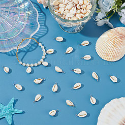 120Pcs Natural Cowrie Shell Pendants&nbsp;PALLOY-ME00018