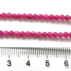 天然淡水シェルビーズ連売り  ラウンド  染め  カメリア  4mm  穴：0.5mm  約124~132個/連  14.96''（38センチメートル）&nbsp;SHEL-H003-03F