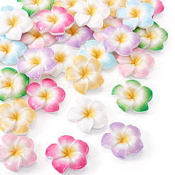 28色のプルメリアの花の不透明樹脂カボション7個  ミックスカラー  29~30x29~30x7~8mm  4個/カラー&nbsp;CRES-TA0001-75