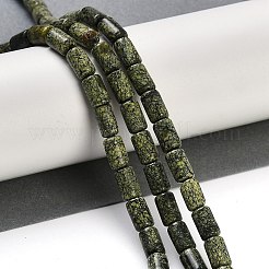 Natural Serpentine/Green Lace Stone Beads Strands&nbsp;G-H064-B01-01