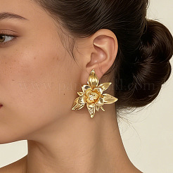 Zinc Alloy Stud Earrings for Women&nbsp;WGD1381-01