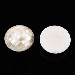 ナチュラルホワイトシェルビーズ  穴なし/ドリルなし  フラットラウンド  35x20.5~21.5mm&nbsp;SHEL-F007-16B