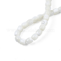 天然トロチッドシェル/トロカスシェルビーズ連売り  漂白  コラム  ホワイト  6x5.5mm  穴：0.8mm  約68~69個/連  15.47インチ〜15.75インチ（39.3~40cm）&nbsp;X-SSHEL-N034-121-B01