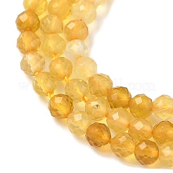 Natural Yellow Opal Beads Strands&nbsp;G-D306-A05-2mm