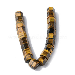 天然石タイガーアイビーズ連売り  六角柱  9~11x12x13.5~14mm  穴：1.2mm  約20個/連  7.64~8.70インチ（19.4~22.2cm）&nbsp;G-F743-03D