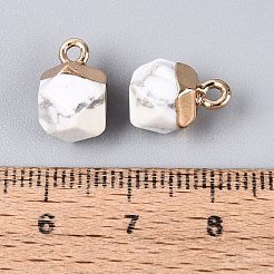 Natural Howlite Pendants&nbsp;G-N359-18G-14