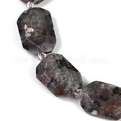 Natural Fluorescent Syenite Rock(Glow under UV Light) Beads Strands&nbsp;G-B125-P20-01