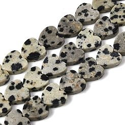 Natural Dalmatian Jasper Beads Strands&nbsp;X-G-M403-A31-03