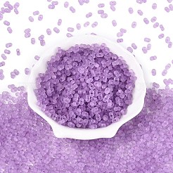 FGB Frosted Transparent Glass Seed Beads&nbsp;SEED-N013-06A-07