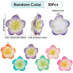 30個のレジンペンダント  花  プラチナ鉄ループ付き  ミックスカラー  26~26.5x24~26x7~8mm  穴：2mm&nbsp;RESI-BM0001-06A