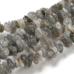 天然のラブラドライトさざれ石のビーズ連売り  5~8x5~8mm  穴：1mm  約31.5インチ&nbsp;G-M205-13