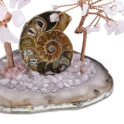 Natural Rose Quartz Chip Pachira Glabra Display Decorations&nbsp;DJEW-K025-05A