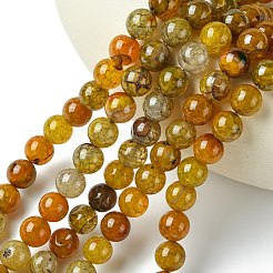 染め加工天然石ドラゴンアゲート瑪瑙ビーズ連売り  ラウンド  10mm  穴：1mm  約38個/連  14.74インチ&nbsp;G-C068-10mm-15