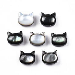 天然な黒リップシェルビーズ  猫の頭  6x7x4mm  穴：0.9mm&nbsp;SSHEL-N032-47