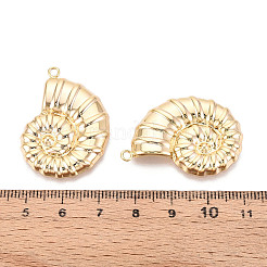 真鍮チャーム  長持ちメッキ  ニッケルフリー  18KGP本金メッキ  巻き貝の形  34.5x25x4mm  穴：2mm&nbsp;KK-N263-120B-G