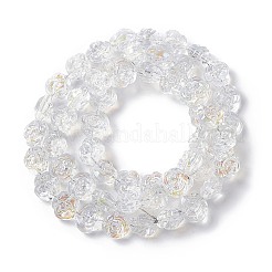 Electroplate Glass Beads Strands&nbsp;EGLA-L040-AB01