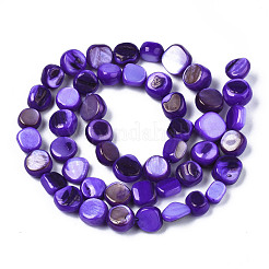 Natural Trochid Shell/Trochus Shell Beads Strands&nbsp;SHEL-S258-083-B02