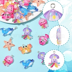 24本8スタイルレジンペンダント  プラチナトーンの鉄ループ付き  混合図形  ミックスカラー  18~29x18~30x7~8.5mm  穴：2mm  4個/スタイル&nbsp;RESI-FS0002-18A