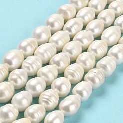 天然養殖淡水パールビーズ連売り  ライス  グレードAB  フローラルホワイト  12~12.5x9.5~11mm  穴：0.6mm  約28個/連  13.78インチ（35cm）&nbsp;PEAR-E016-082