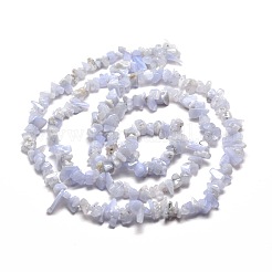 Natural Blue Lace Agate Chips Beads Strands&nbsp;G-M205-50