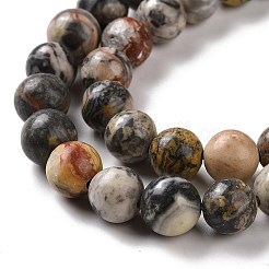 Natural Map Stone/Picasso Stone/Picasso Jasper Beads Strands&nbsp;G-D481-09