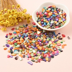 染色天然淡水貝チップビーズ 50g  穴なし/ドリルなし  ミックスカラー  3~19x1~8mm&nbsp;BSHE-YW0001-04