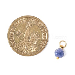 天然のカラフルなトルマリンのダイスチャーム  304ステンレススチール製丸カン付き  ゴールドカラー  10.5x6.5~7mm  穴：3.5mm&nbsp;PALLOY-JF04580-01