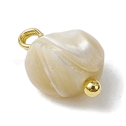 Natural Trochus Shell Nuggets Charms with Brass Loops&nbsp;PALLOY-JF03586-01