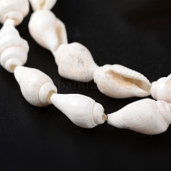 天然の海シェル巻き貝ビーズ連売り  5.5~12.5mm  穴：1~2mm  約135~145個/連  54~58.3インチ&nbsp;X-BSHE-O009-06