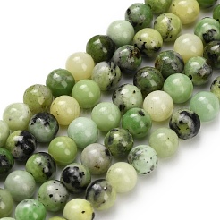 Natural Serpentine Beads Strands&nbsp;G-Z110-C04-6mm