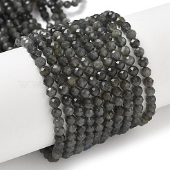Natural Labradorite Beads Strands&nbsp;G-L622-C03-4mm