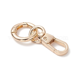 Alloy Swivel Clasps&nbsp;KEYC-JKC01459