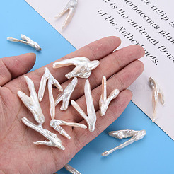 ナチュラルケシパールビーズ  養殖淡水パール  穴なし/ドリルなし  鶏の足  貝殻色  32~50x9~25x4~8mm&nbsp;PEAR-N020-P01