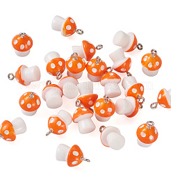 Plastic Pendants&nbsp;KY-TA0001-15F