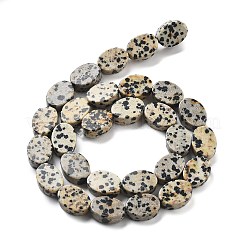 天然石ダルメシアンジャスパービーズ連売り  オーバル  14x10x5mm  穴：0.5mm  約28個/連  15.55''（39.5センチメートル）&nbsp;G-P559-B08-01