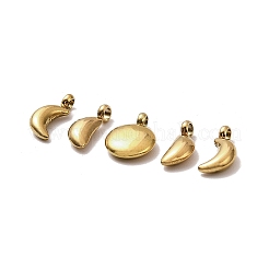 5Pcs 304 Stainless Steel Charms&nbsp;X-STAS-M017-14G