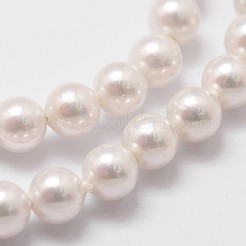 Shell Pearl Beads Strands&nbsp;BSHE-L025-01-6mm