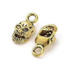 Tibetan Style Alloy Pendants&nbsp;FIND-M047-10AG