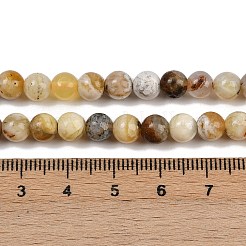 Natural Yellow Opal Beads Strands&nbsp;G-G992-A02-B