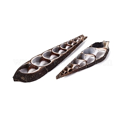 天然のツリテラ貝のペンダント  スライスした貝殻のチャーム  ココナッツブラウン  45~60x13~19x5~7mm  穴：1.4~11x1.4~8mm&nbsp;SSHEL-N042-25