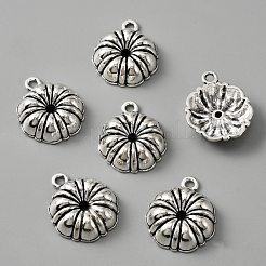 Tibetan Style Alloy Pendants&nbsp;FIND-CJC0004-16AS