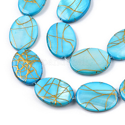 Freshwater Shell Beads Strands&nbsp;SSHEL-T007-17